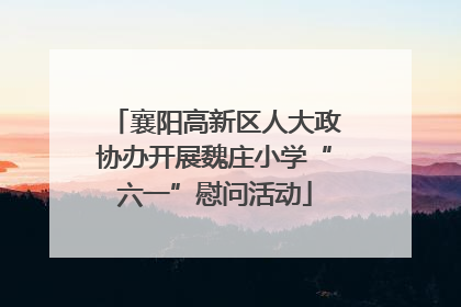 襄阳高新区人大政协办开展魏庄小学“六一”慰问活动