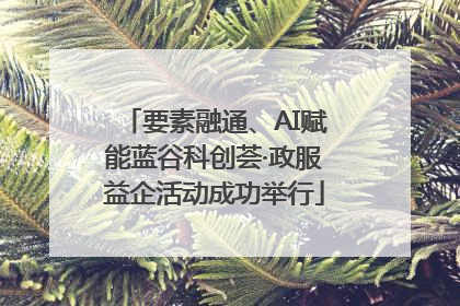 要素融通、AI赋能蓝谷科创荟·政服益企活动成功举行