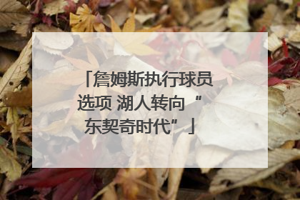 詹姆斯执行球员选项 湖人转向“东契奇时代”