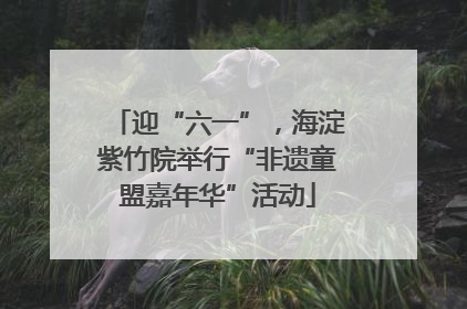 迎“六一”，海淀紫竹院举行“非遗童盟嘉年华”活动