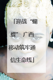 迎战“蝴蝶” 广西移动筑牢通信生命线