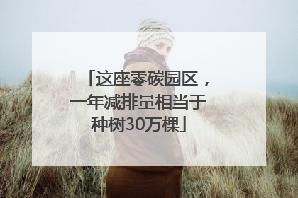 这座零碳园区，一年减排量相当于种树30万棵