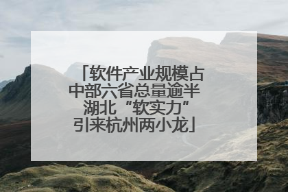 软件产业规模占中部六省总量逾半 湖北“软实力”引来杭州两小龙