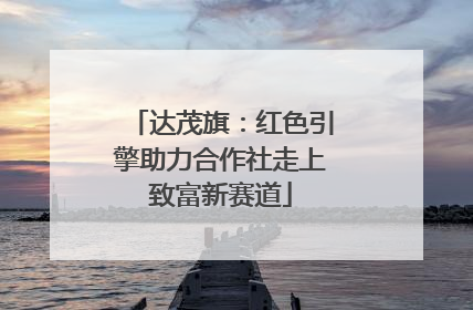 达茂旗：红色引擎助力合作社走上致富新赛道