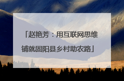 赵艳芳：用互联网思维铺就固阳县乡村助农路