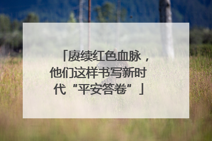赓续红色血脉，他们这样书写新时代“平安答卷”