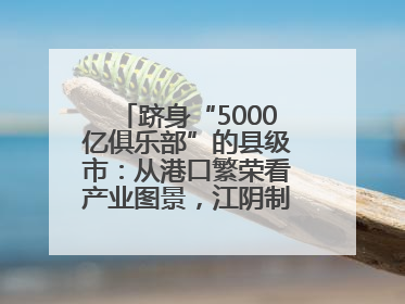 跻身“5000亿俱乐部”的县级市：从港口繁荣看产业图景，江阴制造链通全球