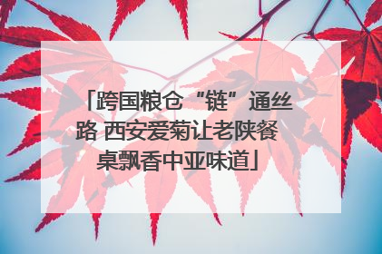 跨国粮仓“链”通丝路 西安爱菊让老陕餐桌飘香中亚味道