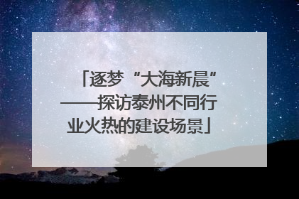 逐梦“大海新晨”——探访泰州不同行业火热的建设场景