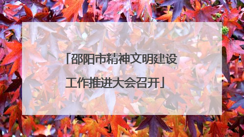 邵阳市精神文明建设工作推进大会召开