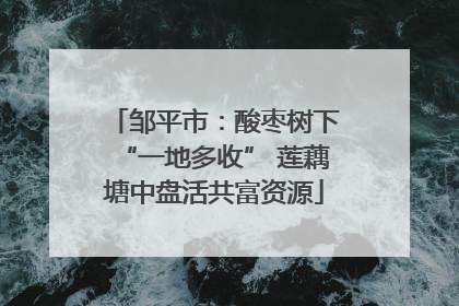 邹平市：酸枣树下“一地多收” 莲藕塘中盘活共富资源