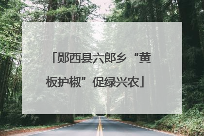 郧西县六郎乡“黄板护椒”促绿兴农
