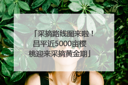 采摘路线图来啦！昌平近5000亩樱桃迎来采摘黄金期