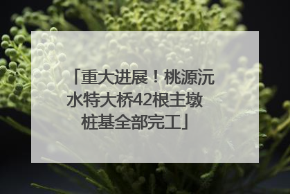 重大进展！桃源沅水特大桥42根主墩桩基全部完工