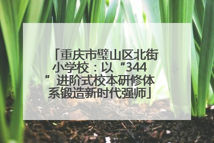 重庆市璧山区北街小学校：以“344”进阶式校本研修体系锻造新时代强师