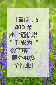 重庆：5400 余座“通信塔”升级为“数字塔”，服务40多个行业