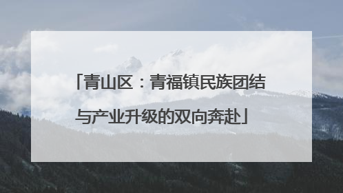 青山区：青福镇民族团结与产业升级的双向奔赴