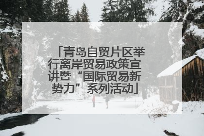 青岛自贸片区举行离岸贸易政策宣讲暨“国际贸易新势力”系列活动