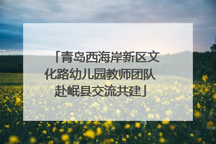 青岛西海岸新区文化路幼儿园教师团队赴岷县交流共建