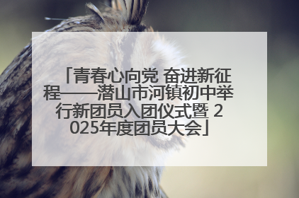 青春心向党 奋进新征程——潜山市河镇初中举行新团员入团仪式暨 2025年度团员大会
