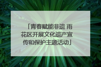 青春赋能非遗 雨花区开展文化遗产宣传和保护主题活动