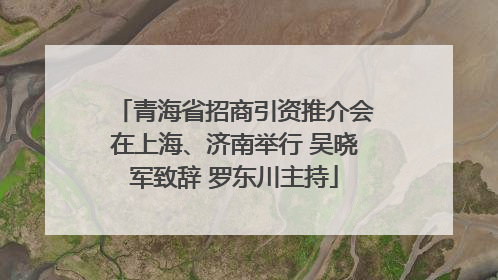 青海省招商引资推介会在上海、济南举行 吴晓军致辞 罗东川主持