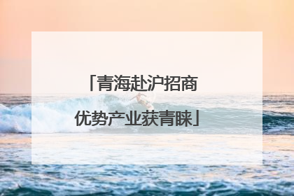 青海赴沪招商 优势产业获青睐