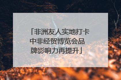 非洲友人实地打卡 中非经贸博览会品牌影响力再提升