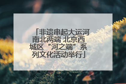 非遗串起大运河南北两端 北京西城区“河之端”系列文化活动举行