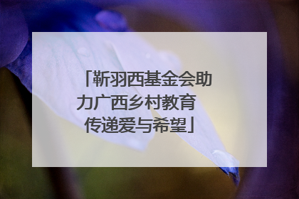 靳羽西基金会助力广西乡村教育 传递爱与希望