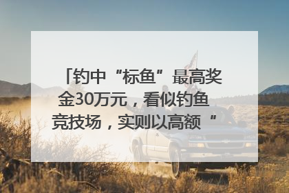 钓中“标鱼”最高奖金30万元，看似钓鱼竞技场，实则以高额“回报”作“饵”……｜今晚九点半