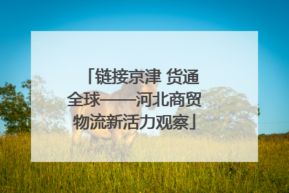 链接京津 货通全球——河北商贸物流新活力观察