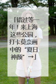 错过等一年！来上海这些公园，打卡莫奈画中的“夏日神颜”→
