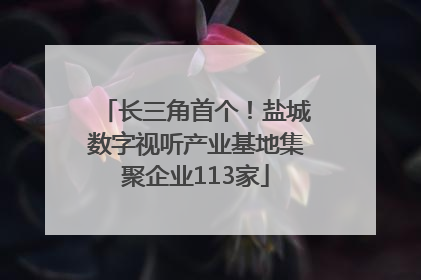 长三角首个！盐城数字视听产业基地集聚企业113家