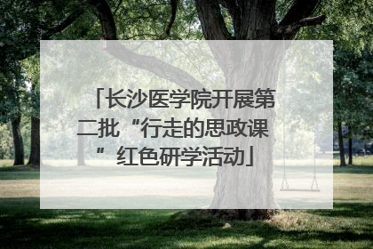 长沙医学院开展第二批“行走的思政课”红色研学活动
