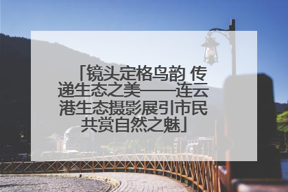 镜头定格鸟韵 传递生态之美——连云港生态摄影展引市民共赏自然之魅
