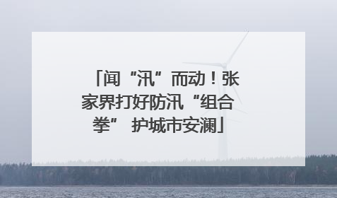 闻“汛”而动！张家界打好防汛“组合拳” 护城市安澜