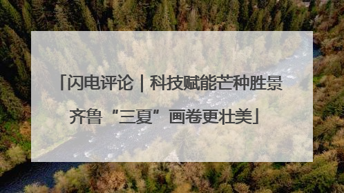 闪电评论｜科技赋能芒种胜景 齐鲁“三夏”画卷更壮美