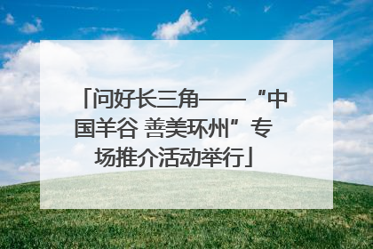 问好长三角——“中国羊谷 善美环州”专场推介活动举行