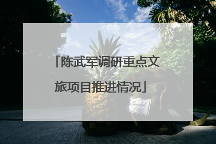 陈武军调研重点文旅项目推进情况