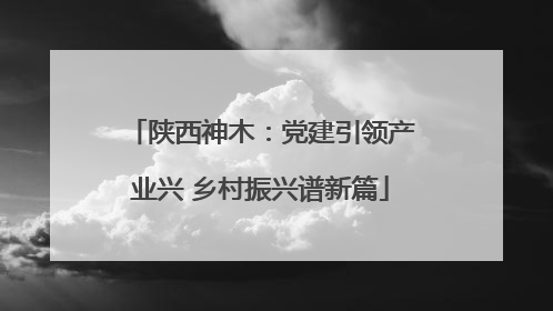 陕西神木：党建引领产业兴 乡村振兴谱新篇