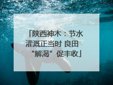 陕西神木：节水灌溉正当时 良田“解渴”促丰收