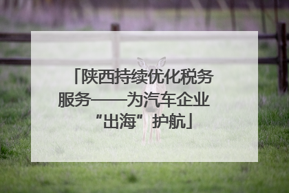 陕西持续优化税务服务——为汽车企业“出海”护航