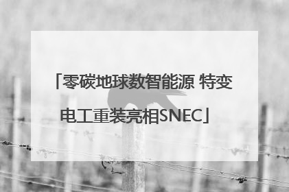 零碳地球数智能源 特变电工重装亮相SNEC
