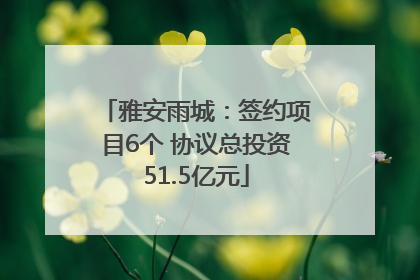 雅安雨城：签约项目6个 协议总投资51.5亿元