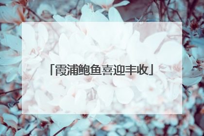 霞浦鲍鱼喜迎丰收