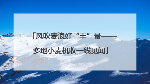风吹麦浪好“丰”景——多地小麦机收一线见闻