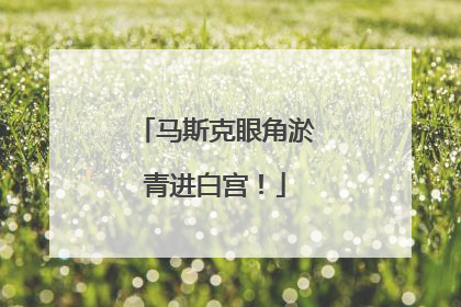 马斯克眼角淤青进白宫！