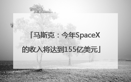马斯克：今年SpaceX的收入将达到155亿美元