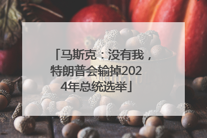 马斯克：没有我，特朗普会输掉2024年总统选举